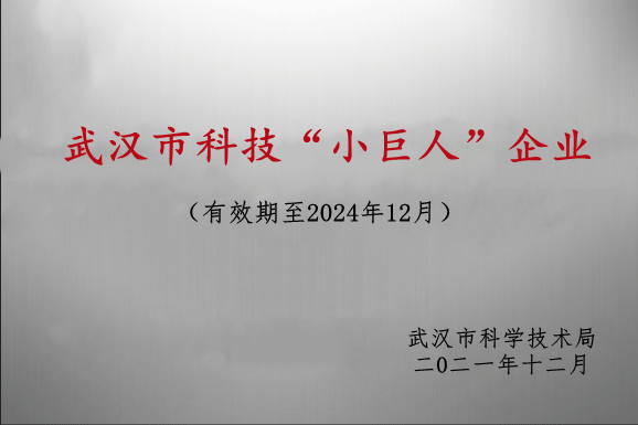 高新技術(shù)企業(yè)證書